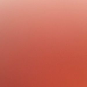 Meet your Posher, Lynn